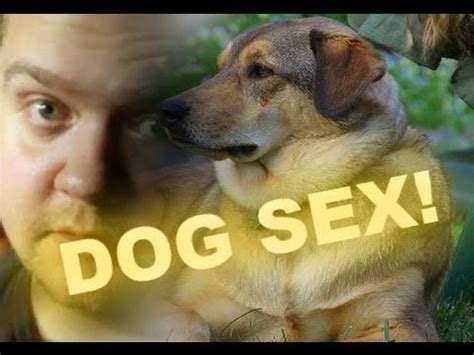 dog sex dog sex|Most Recent Dogs Sex Videos